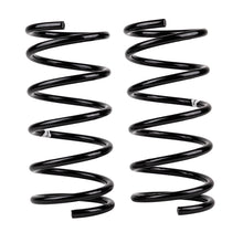 Carica l&#39;immagine nel visualizzatore di Gallery, ARB / OME Coil Spring Rear Terracan &amp; Hd