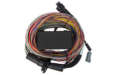 Carica l&#39;immagine nel visualizzatore di Gallery, Haltech Elite 750 8ft Premium Universal Wire-In Harness