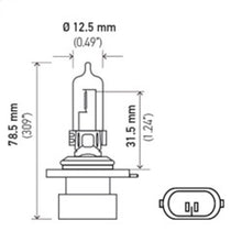 गैलरी व्यूवर में इमेज लोड करें, Hella Bulb 9005XS 12V 100W XEN WHT XB (2)