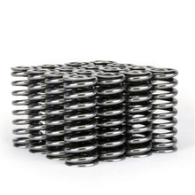 गैलरी व्यूवर में इमेज लोड करें, Skunk2 Alpha Series Honda D Series VTEC Valve Spring Set