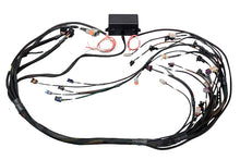 Cargar imagen en el visor de la galería, Haltech GM GEN IV LSX (LS2/LS3) DBW Ready Elite 2500 Terminated Harness w/EV6 Injector Connectors
