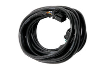 गैलरी व्यूवर में इमेज लोड करें, Haltech CAN Cable 8 Pin Black Tyco to 8 Pin Black Tyco 3600mm (144in)