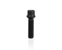 गैलरी व्यूवर में इमेज लोड करें, Eibach Pro-Spacer Hardware Kit for S90-2-15-005 (Wheel Bolt M14 x 1.5 x 43mm Round-Head) - Black