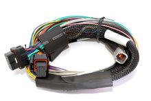 गैलरी व्यूवर में इमेज लोड करें, Haltech Elite 1000 8ft Basic Universal Wire-In Harness (Excl Relays or Fuses)