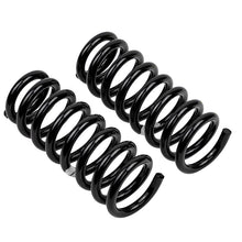 Carica l&#39;immagine nel visualizzatore di Gallery, ARB / OME Coil Spring Front Vitara V6
