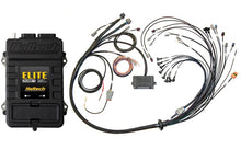 Carica l&#39;immagine nel visualizzatore di Gallery, Haltech V8 Big/Small Block GM/Ford/Chrysler Elite 2500 T Terminated Harness ECU Kit w/EV1 Injector