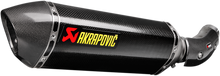 Load image into Gallery viewer, AKRAPOVIC Muffler - Carbon Fiber S-B10SO2-HRC