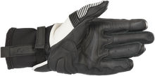 गैलरी व्यूवर में इमेज लोड करें, ALPINESTARS GPX V2  Gloves - Black/White - 2XL 3567219-12-XXL