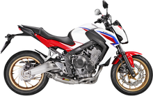 Cargar imagen en el visor de la galería, AKRAPOVIC Race Exhaust - Titanium S-H6R12-HAFT