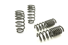 गैलरी व्यूवर में इमेज लोड करें, Eibach Pro-Kit for 11-12 Dodge Charger 2WD V6 / 2WD V8 (Will Not Effect Vehicle Height On Scat Pack)