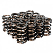 गैलरी व्यूवर में इमेज लोड करें, Skunk2 Pro Series Honda/Acura B-Series VTEC XP Valve Spring Set (Dual Springs)