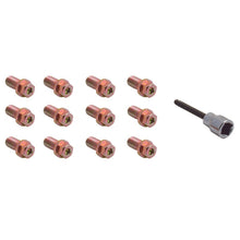Charger l&#39;image dans la galerie, Spectre Header Bolts w/Tool - 3/4in.