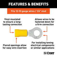 Carica l&#39;immagine nel visualizzatore di Gallery, Curt Ring Terminals (12-10 Wire Gauge 1/4in Stud Size 100-Pack)