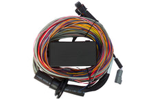 Carica l&#39;immagine nel visualizzatore di Gallery, Haltech Elite 950 8ft Premium Universal Wire-In Harness