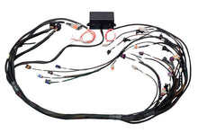Cargar imagen en el visor de la galería, Haltech GM GEN III LS1 &amp; LS6 (Non DBW) Elite 2000/2500 Terminated Harness w/EV1 Injector Connectors
