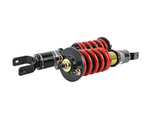 Charger l'image dans la galerie, Skunk2 92-95 Honda Civic / 94-01 Acura Integra Pro-ST Coilovers (Front 10 kg/mm - Rear 10 kg/mm)