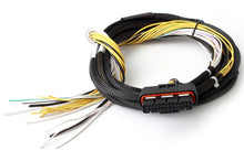 Cargar imagen en el visor de la galería, Haltech HPI8 High Power Igniter 2m Flying Lead (Loom Only)
