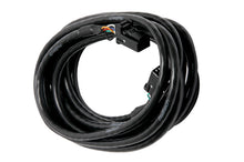 गैलरी व्यूवर में इमेज लोड करें, Haltech CAN Cable 8 Pin Black Tyco to 8 Pin Black Tyco 1800mm (72in)