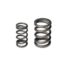 Laden Sie das Bild in den Galerie-Viewer, Skunk2 Tuner Series Honda/Acura (B16A/ B17A/ B18C) DOHC VTEC Alpha Valve Spring Set (Dual Springs)