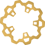 LYNDALL RACING BRAKES LLC Rotor with Gas Slots - Prodigy/Enforcer - Gold - 11.8