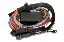 गैलरी व्यूवर में इमेज लोड करें, Haltech Elite 2500 &amp; 2500 T 8ft Premium Universal Wire-In Harness