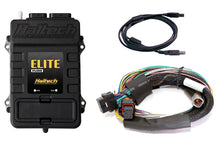 Carica l&#39;immagine nel visualizzatore di Gallery, Haltech Elite 1500 Basic Universal Wire-In Harness ECU Kit