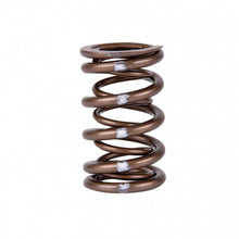 Charger l'image dans la galerie, Skunk2 Pro Series Honda/Acura K-Series i-VTEC XP Valve Spring Set (Dual Springs)