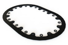 Cargar imagen en el visor de la galería, Radium Engineering Fuel Cell Mounting Tab Kit