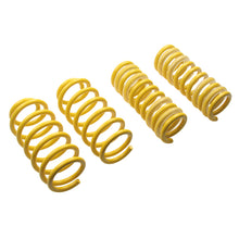 Laden Sie das Bild in den Galerie-Viewer, ST Sport-tech Lowering Springs Chrysler 300C 2WD / Dodge Charger Challenger Magnum