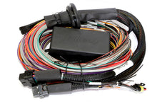 गैलरी व्यूवर में इमेज लोड करें, Haltech Elite 1000 8ft Premium Universal Wire-In Harness
