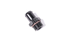Laden Sie das Bild in den Galerie-Viewer, Radium Engineering 10AN ORB to Barb .750in Hose