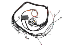 Carica l&#39;immagine nel visualizzatore di Gallery, Haltech Toyota 2JZ Elite 2000/2500 Terminated Harness w/EV1 Injector Connectors