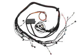 Haltech Toyota 2JZ Elite 2000/2500 Terminated Harness w/EV1 Injector Connectors