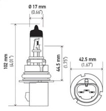 Laden Sie das Bild in den Galerie-Viewer, Hella Bulb 9007 12V 65/55W Xen Wht Xb (2)