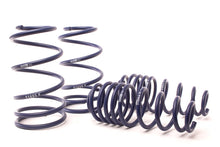 गैलरी व्यूवर में इमेज लोड करें, H&amp;R 11-14 Ford Mustang/Mustang Convertible/Mustang GT V6/V8 Sport Spring