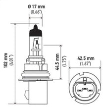 गैलरी व्यूवर में इमेज लोड करें, Hella Bulb 9007 12V 65/55W Px29T T4625 +50(2)