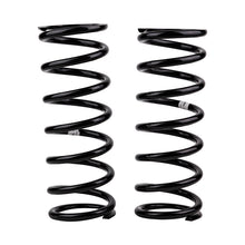 Carica l&#39;immagine nel visualizzatore di Gallery, ARB / OME Coil Spring Rear Disco Ii Med