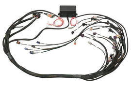 Haltech 6 Channel 4ft Flying Lead Ignition Harness for RB30 Single Cam/2JZ Terminated Harn