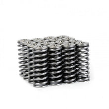 गैलरी व्यूवर में इमेज लोड करें, Skunk2 Alpha Series Honda/Acura D Series Valve Spring and Titanium Retainer Kit