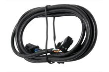 गैलरी व्यूवर में इमेज लोड करें, Haltech CAN Cable 8 Pin Black Tyco to 8 Pin Black Tyco 75mm (3in)