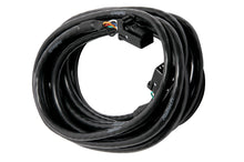 गैलरी व्यूवर में इमेज लोड करें, Haltech CAN Cable 8 Pin Black Tyco to 8 Pin Black Tyco 300mm (12in)
