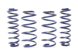 H&R 18-19 Volkswagen Tiguan/Tiguan 4MOTION (2WD/4WD) MQB Adventure Raising Spring