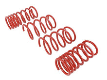 Charger l'image dans la galerie, Skunk2 2013 FR-S/BRZ/FT86 Lowering Springs (Set of 4)