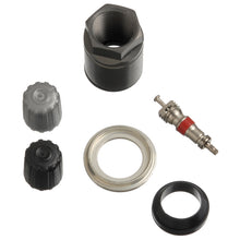 Cargar imagen en el visor de la galería, Schrader TPMS Service Pack - Volkswagen - 25 Pack