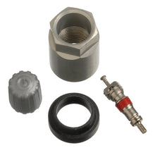 Cargar imagen en el visor de la galería, Schrader TPMS Service Pack - Buick/Cadillac/Chevrolet/GMC/Hummer/Isuzu - 25 Pack