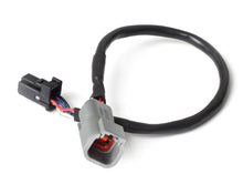 Carica l&#39;immagine nel visualizzatore di Gallery, Haltech 3in CAN Adaptor Cable DTM-4 Female Receptacle/Socket to 8 Pin Black Tyco