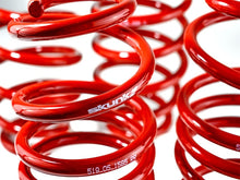 Carica l'immagine nel visualizzatore di Gallery, Skunk2 12 Honda Civic Lowering Springs (2.25 - 2.00in) (Set of 4)