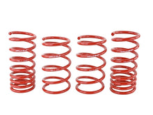 Charger l'image dans la galerie, Skunk2 2013 FR-S/BRZ/FT86 Lowering Springs (Set of 4)