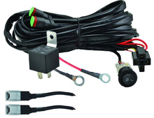 गैलरी व्यूवर में इमेज लोड करें, Hella ValueFit Wiring Harness for 2 Lamps 300W