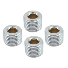 गैलरी व्यूवर में इमेज लोड करें, Spectre Pipe Plug 1/2in. NPT - 4 Pack